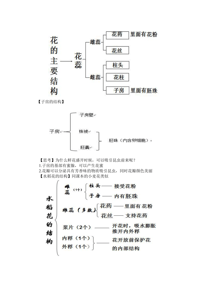 华师大版七年级下册科学 7.1绿色开花植物的有性生殖和发育 教案