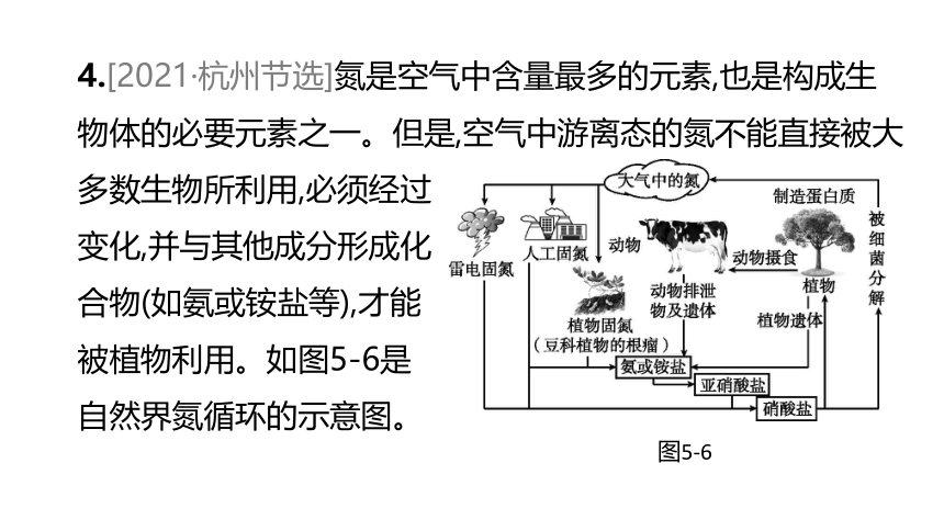 2022年浙江省中考科学一轮复习 第05课时　绿色植物的水和无机盐代谢（课件 34张PPT）