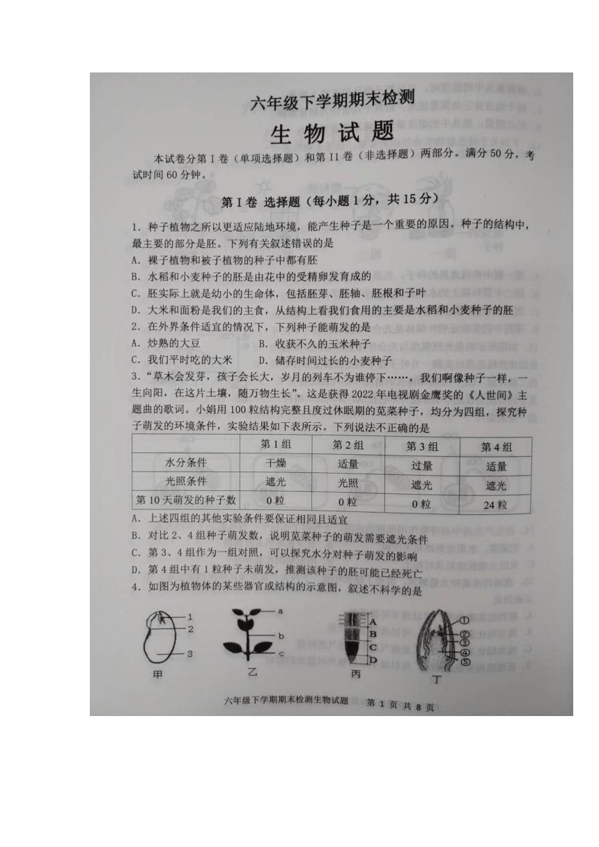 山东省泰安市新泰市2022-2023学年六年级下学期7月期末生物试题（图片版 无答案）