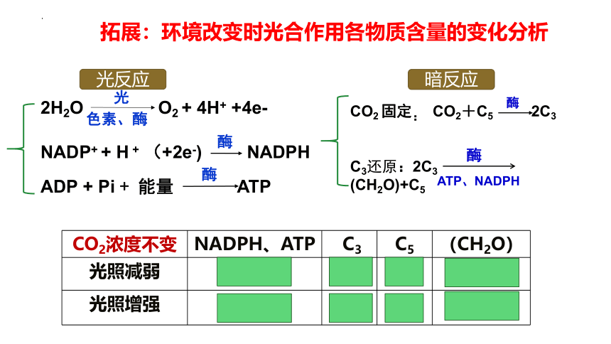 5.4光合作用与能量转化 第三课时（加强课）课件(共27张PPT)2022-2023学年高一上学期生物人教版（2019）必修1