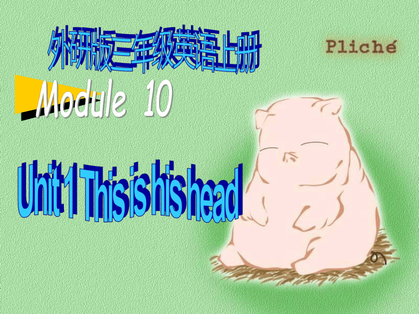 Module 10 Unit 1 This is his head课件（共20张PPT）