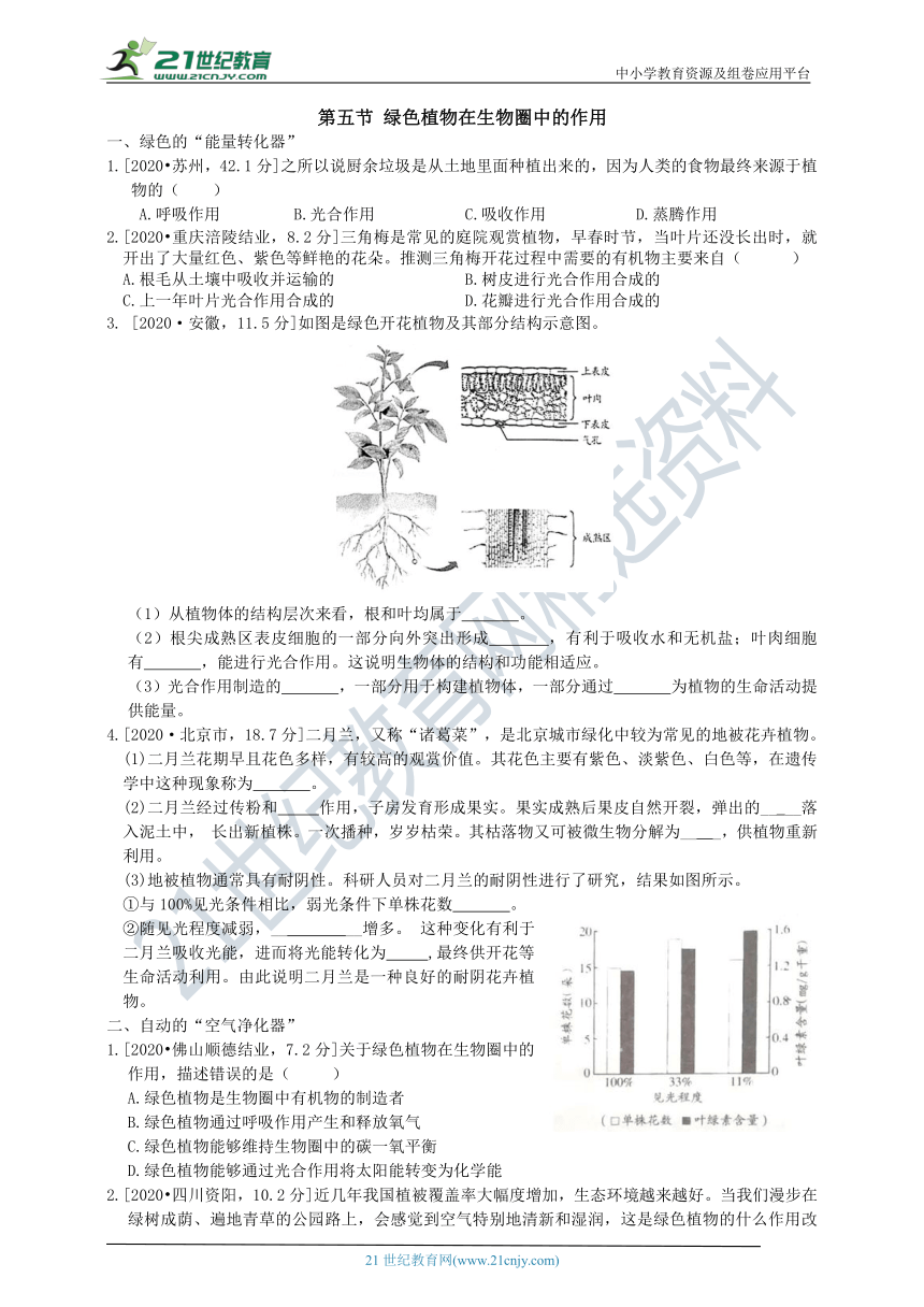 济南版中考真题汇编2.1.5绿色植物在生物圈中的作用（含答案）