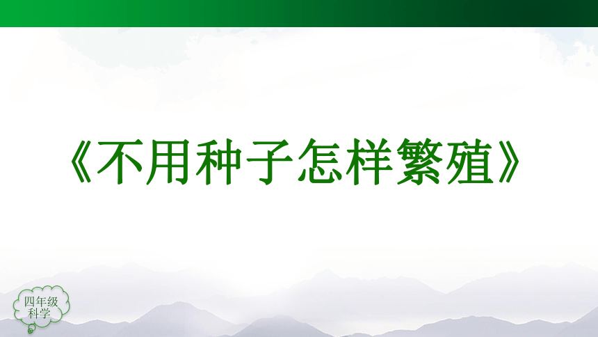 2.5 不用种子怎样繁殖 课件(39张ppt)