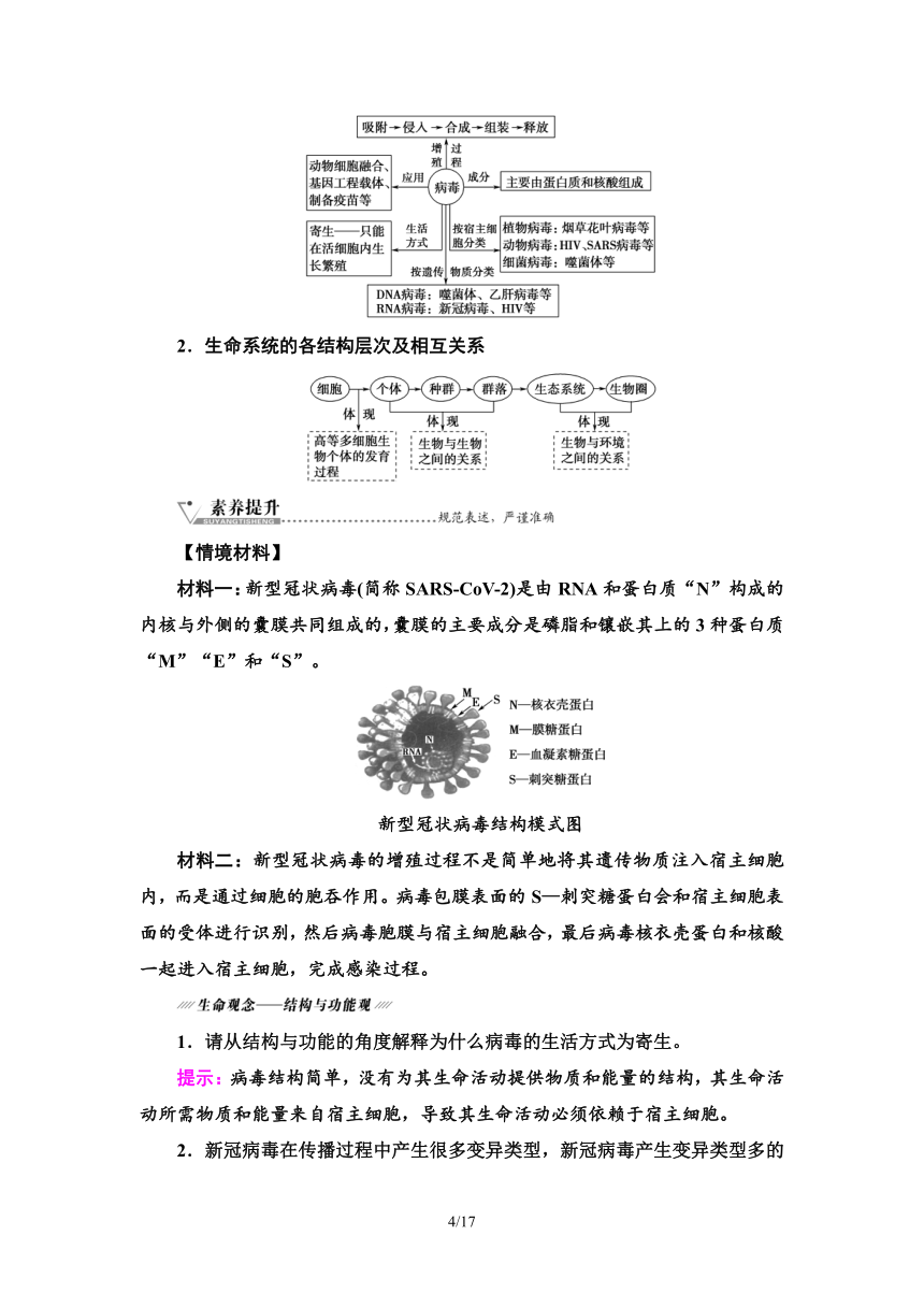 【备考2024】生物高考一轮复习学案：第1讲　走近细胞(含答案）