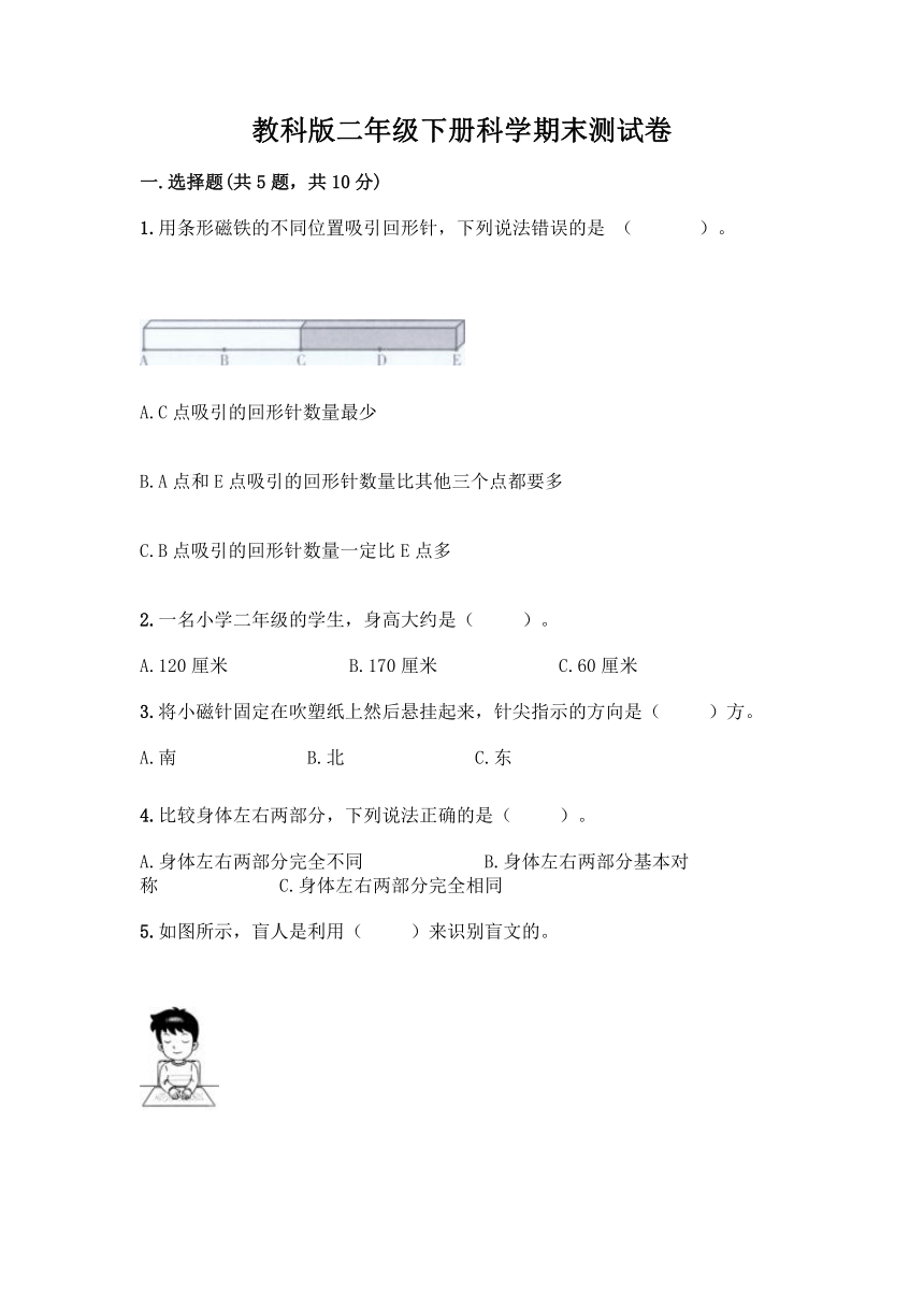 教科版（2017秋）二年级下册科学期末测试卷（含答案）