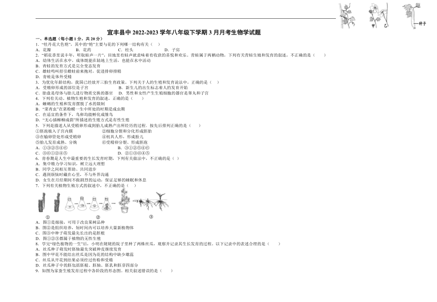 江西省宜丰县中2022-2023学年八年级下学期3月月考生物学试题（含解析）