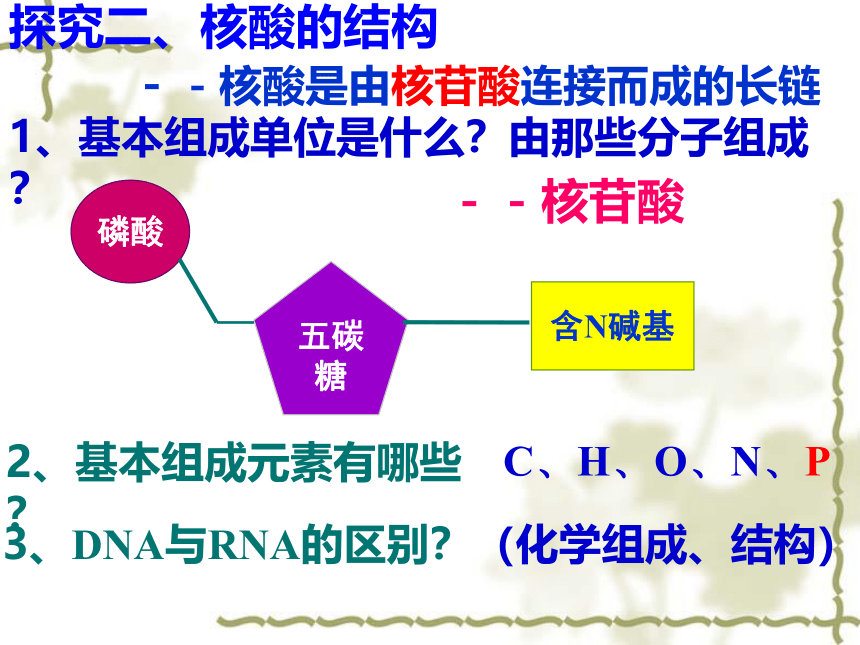 2022-2023学年高一上学期生物人教版必修1-2.3 遗传信息的携带者-核酸课件（19张ppt）