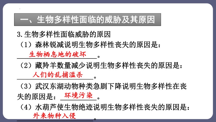 6.3 保护生物的多样性 课件(共41张PPT)2023-2024学年人教版生物八年级上册