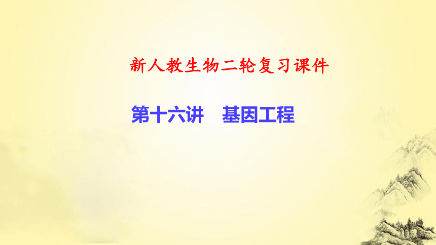 新人教生物二轮复习课件16 基因工程(课件共42张PPT)