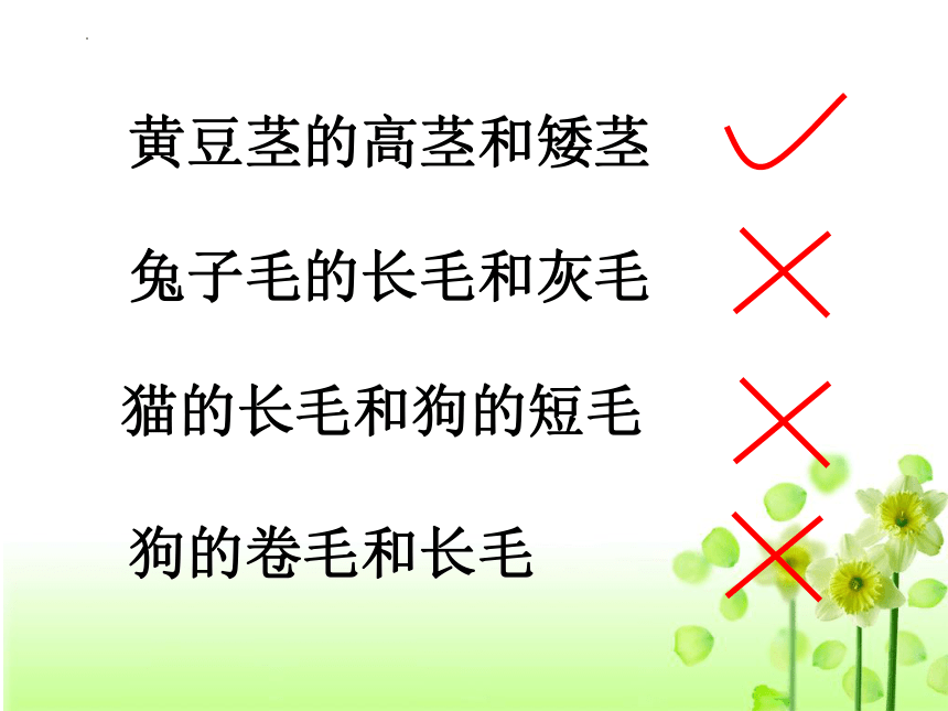 生物人教版（2019）必修2 1.1孟德尔的豌豆杂交实验(一)（共25张ppt）（有视频）