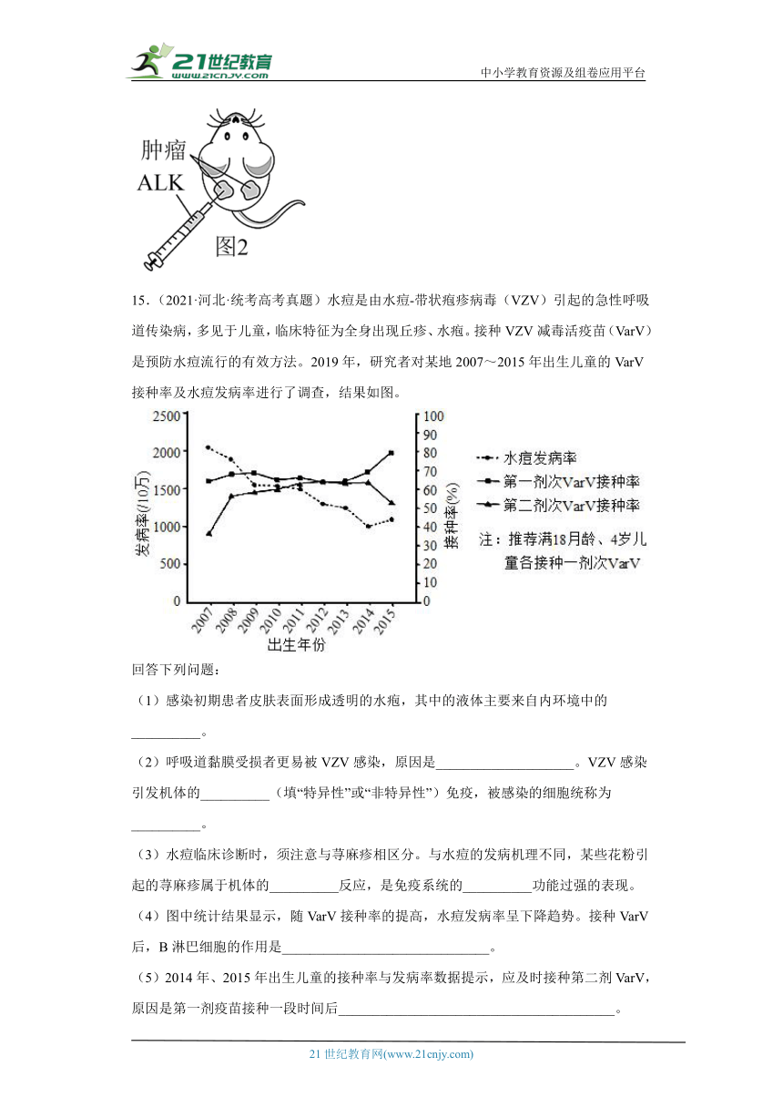 五年2018-2022高考生物真题按知识点分类汇编66-免疫调节-特异性免疫-细胞免疫（含解析）