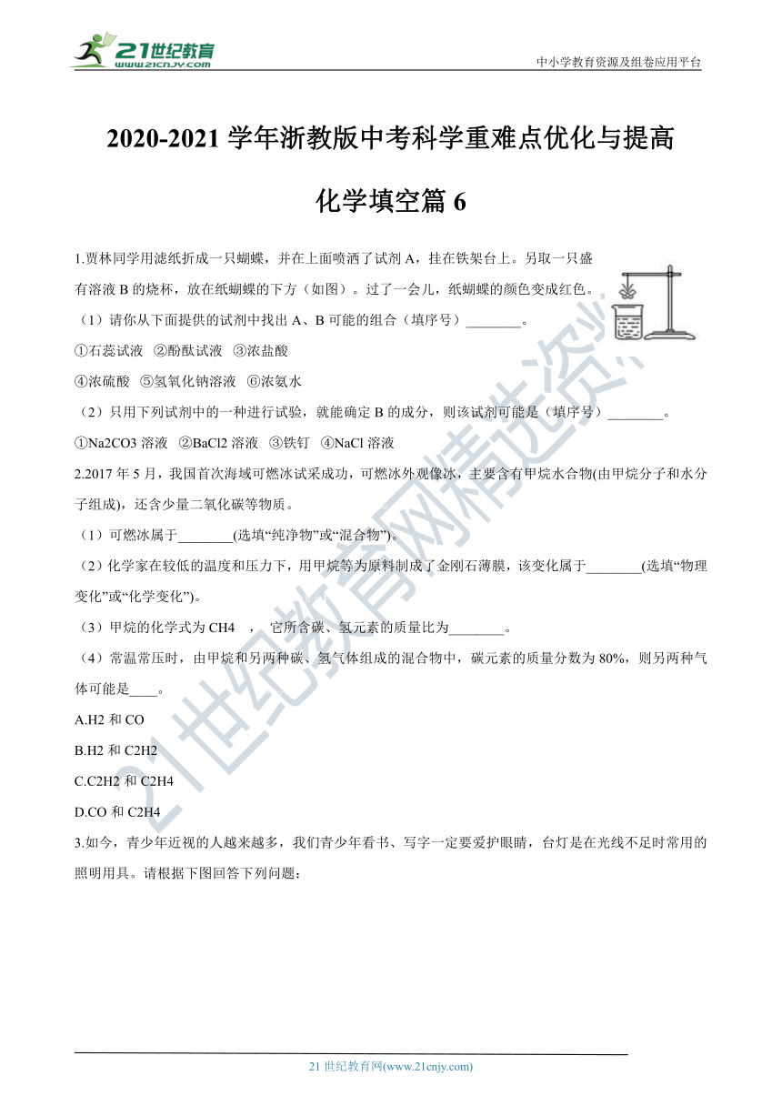 【备考2021】浙教版中考科学尖子生培优训练化学填空篇6（含答案）