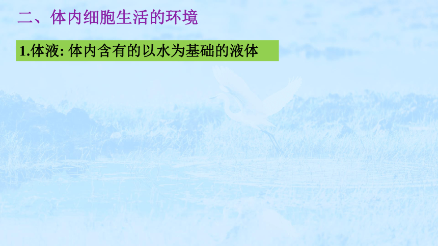 生物人教版（2019）选择性必修一1.1  细胞生活的环境（共77张ppt）