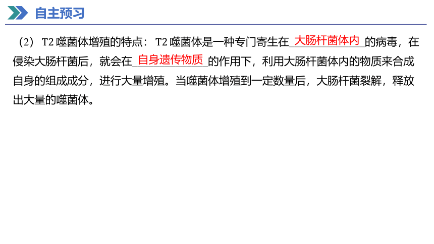 3.1 DNA是主要的遗传物质 课件(共50张PPT) 2023-2024学年高一生物人教版（2019）必修第二册