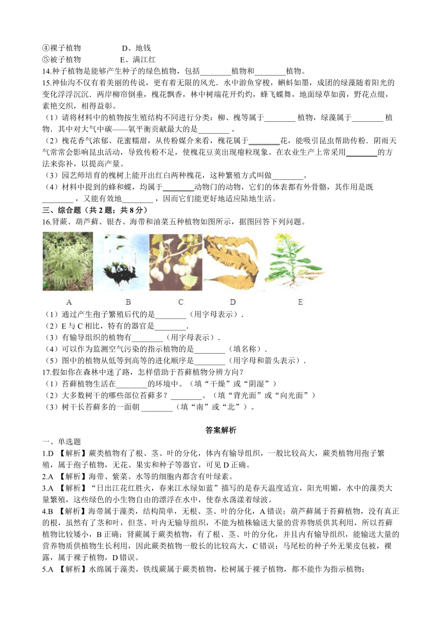 北师大版生物八年级下册 第22章 第3节  《植物的主要类群》 同步测试（含解析）