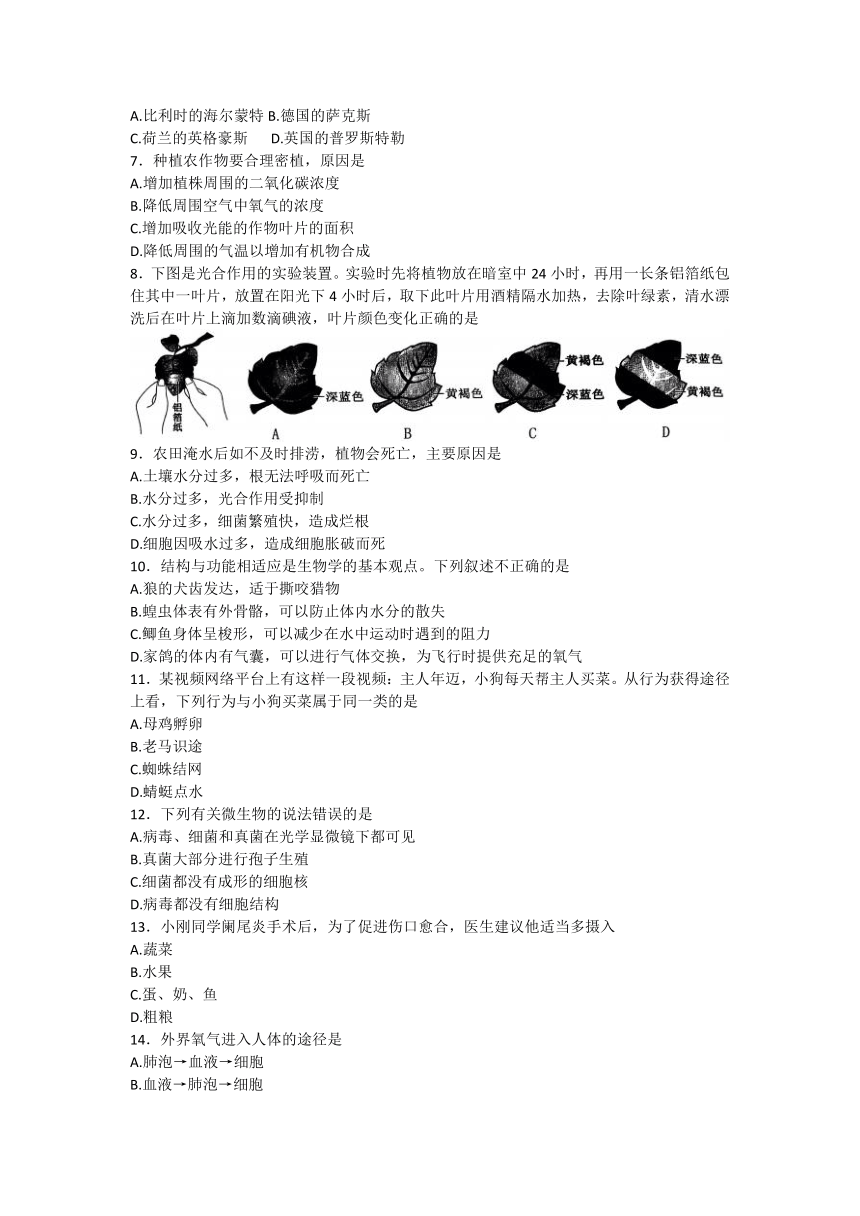 山东省枣庄市峄城区2022-2023学年八年级下学期期中生物试卷（无答案）