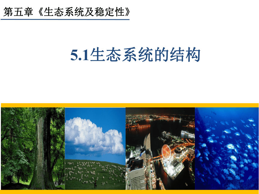 2021-2022学年高二上学期生物人教版必修三5.1生态系统的结构课件（48张）