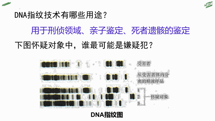 3.2 遗传信息编码在DNA分子上-高一生物 课件(共46张PPT)（浙科版2019必修2）