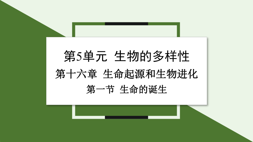 5.16.1 生命的诞生课件(共22张PPT)2023-2024学年初中生物苏教版八年级上册