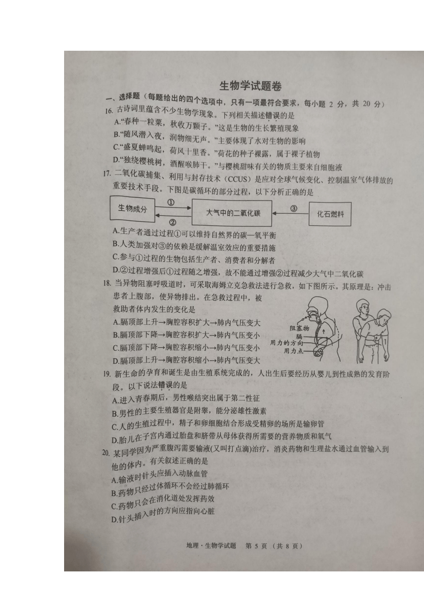 湖北省孝感市孝昌县2022-2023学年八年级下学期期中生物学试题（扫描版含答案）