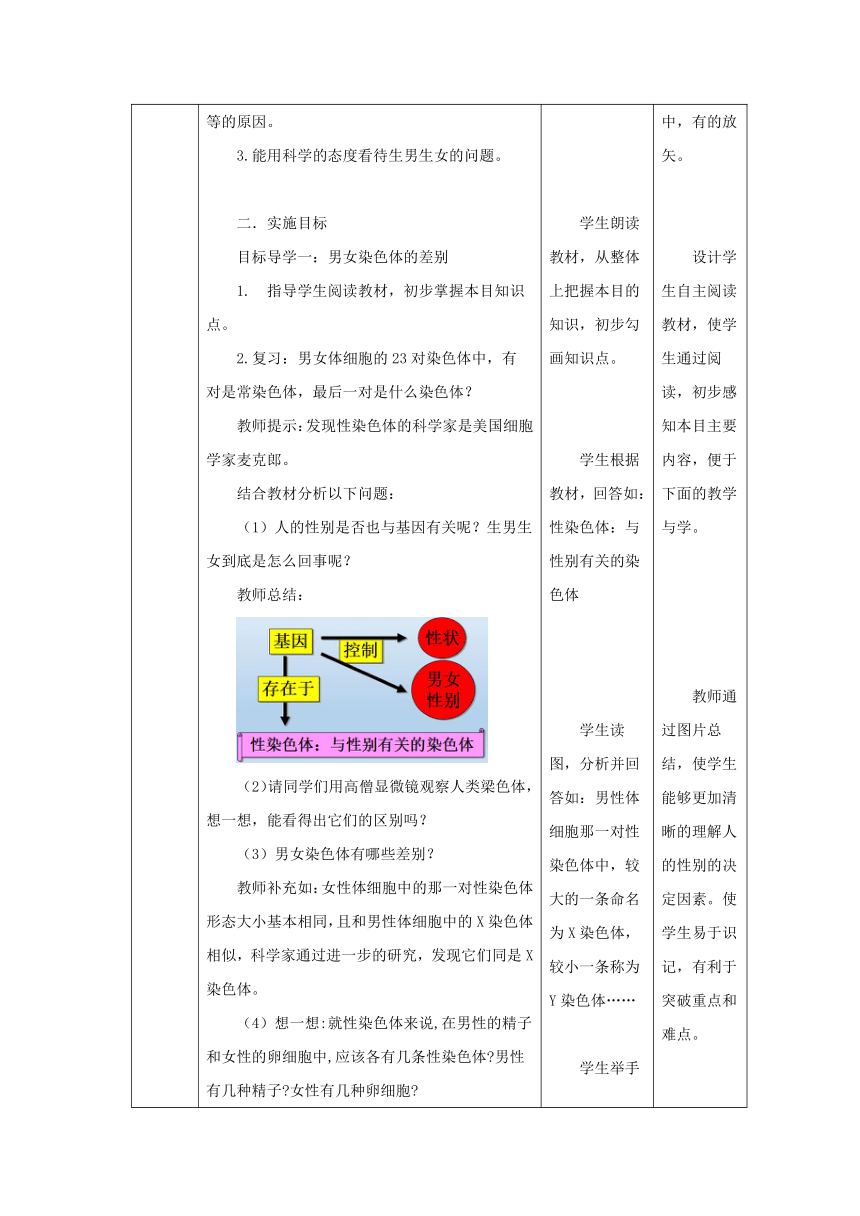 人教版八年级生物 下册 7.2.4 人的性别遗传 教案（表格式）