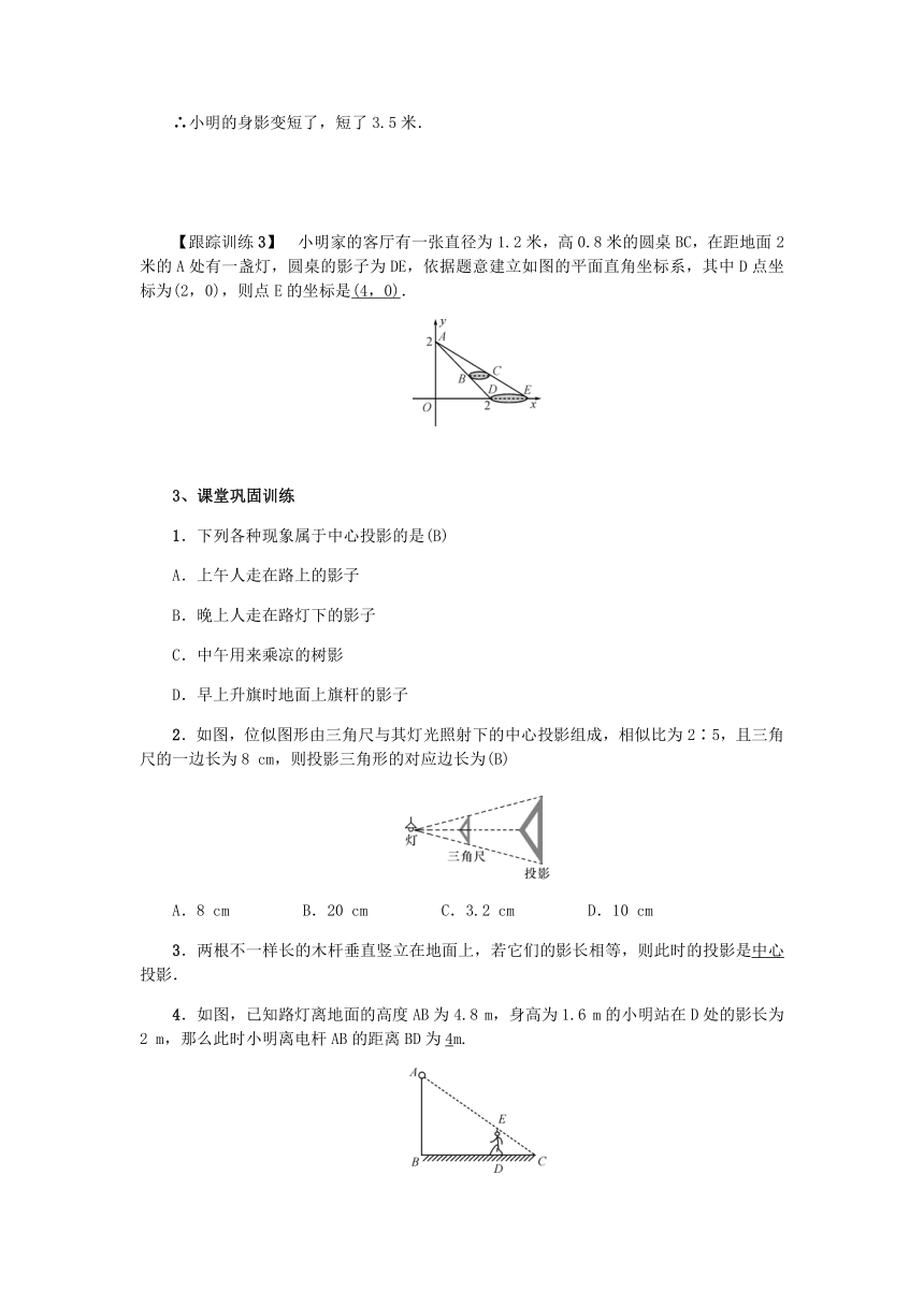 北师大版数学九年级上册：5.1 投影 导学案（含答案）