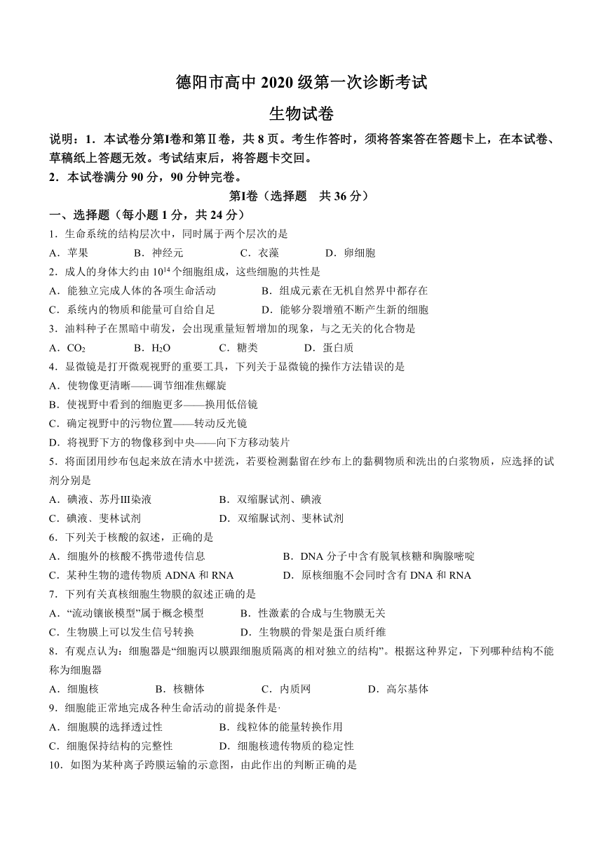 2023届四川省德阳市高三上学期1月第一次模拟考试生物学试题（Word版含答案）