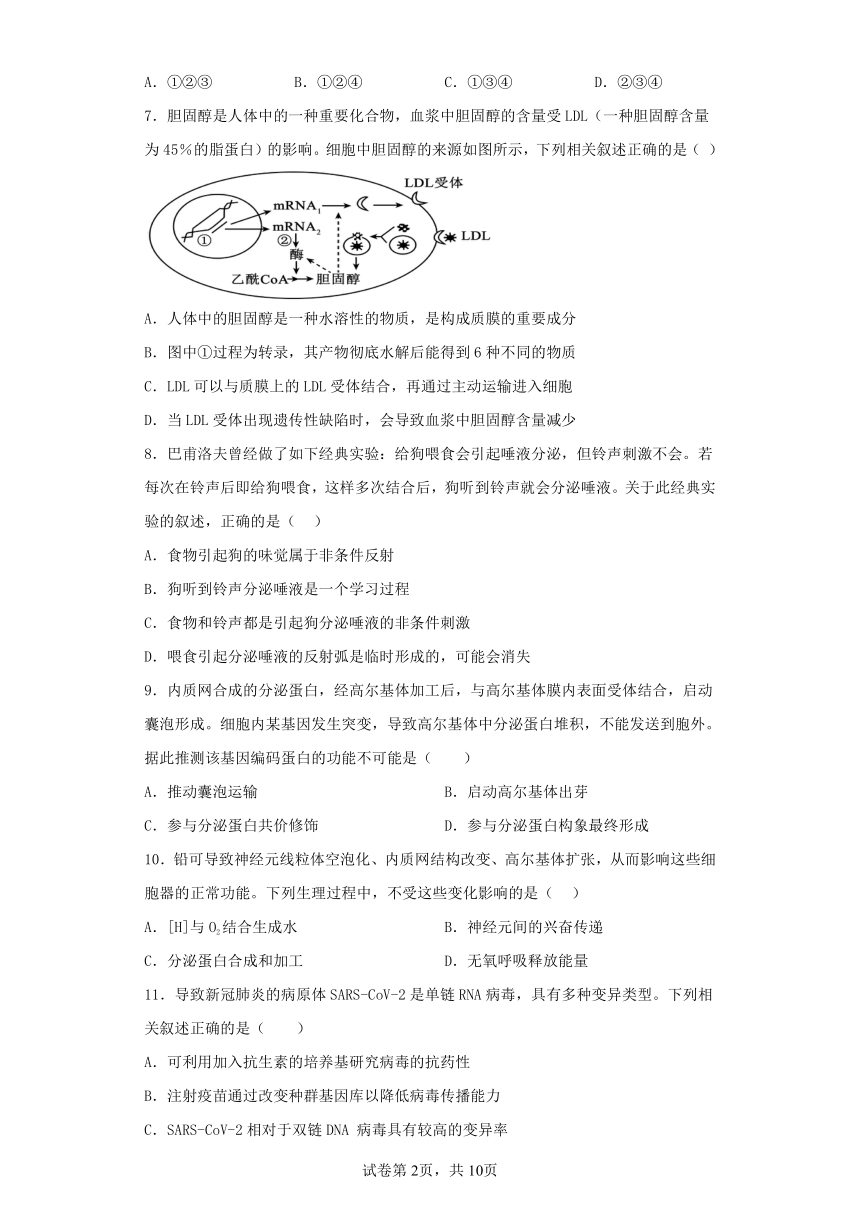 2022-2023学年上海市高三第三次模拟考试生物模拟练习试卷（含解析）