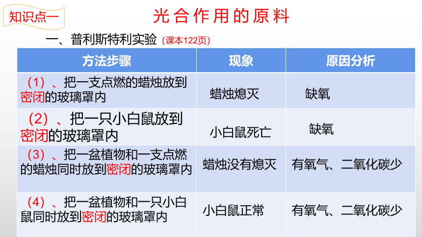 2022-2023学年七年级生物上学期3.5.1 光合作用吸收二氧化碳释放氧气-同步优质课件(共22张PPT)