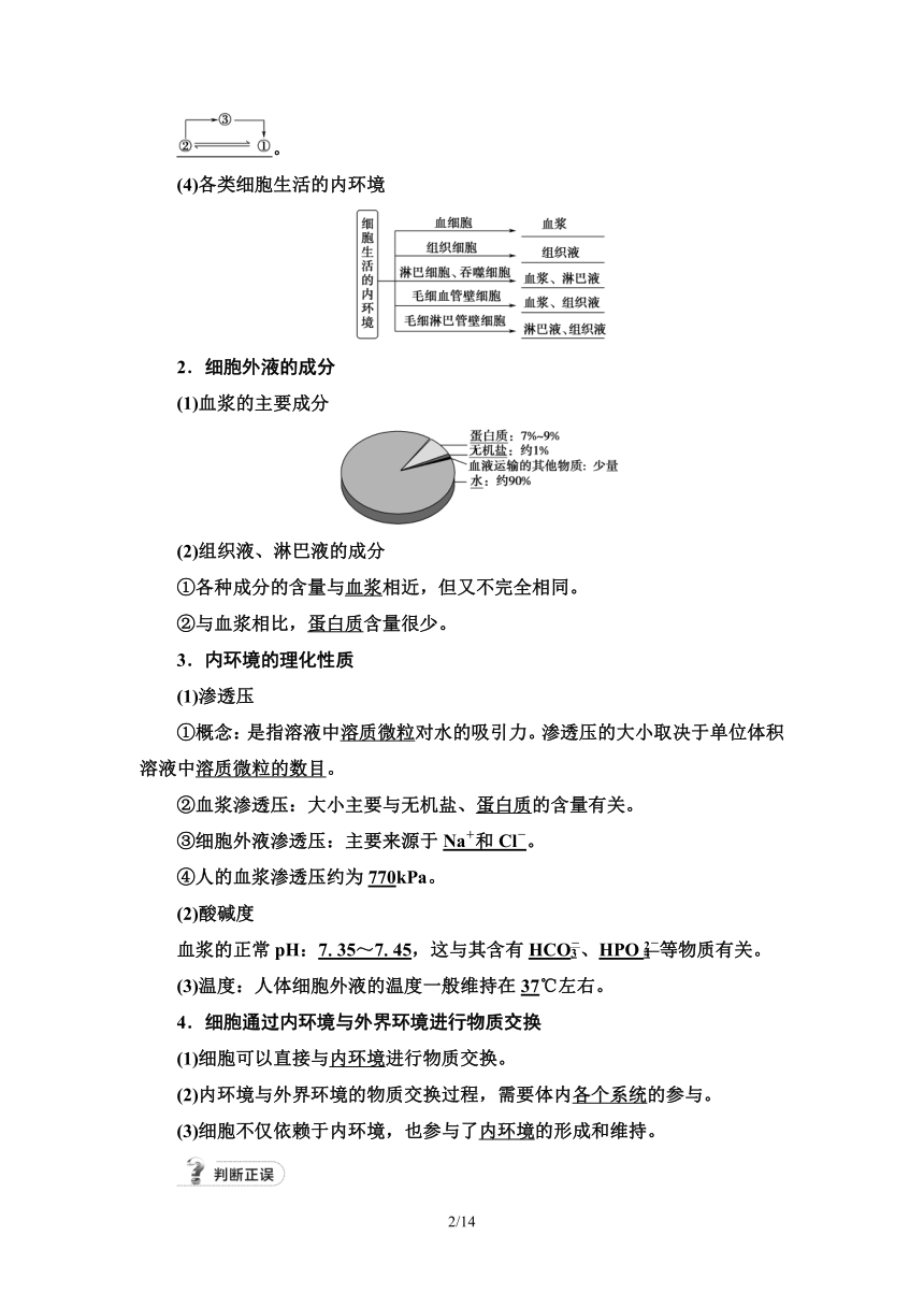 【备考2024】生物高考一轮复习学案：第24讲 人体的内环境与稳态(含答案）