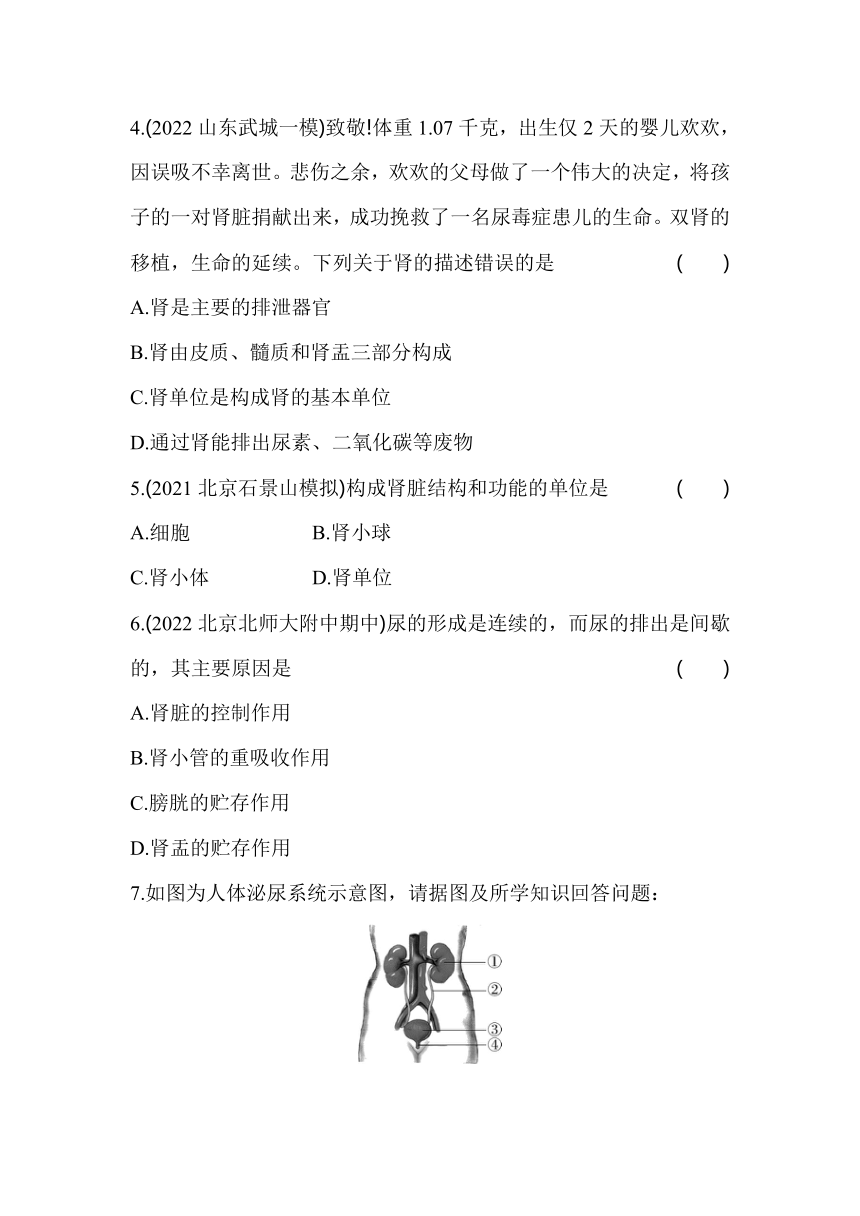 7.2 尿液的形成和排出 同步练习（含解析）北京课改版生物七年级下册