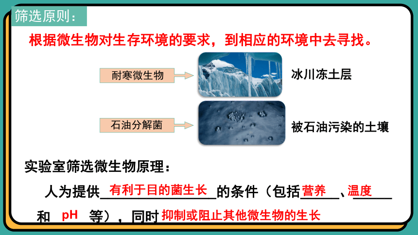 1.2.2微生物的选择培养和计数（第二课时）(共27张PPT)课件-人教版选择性必修三