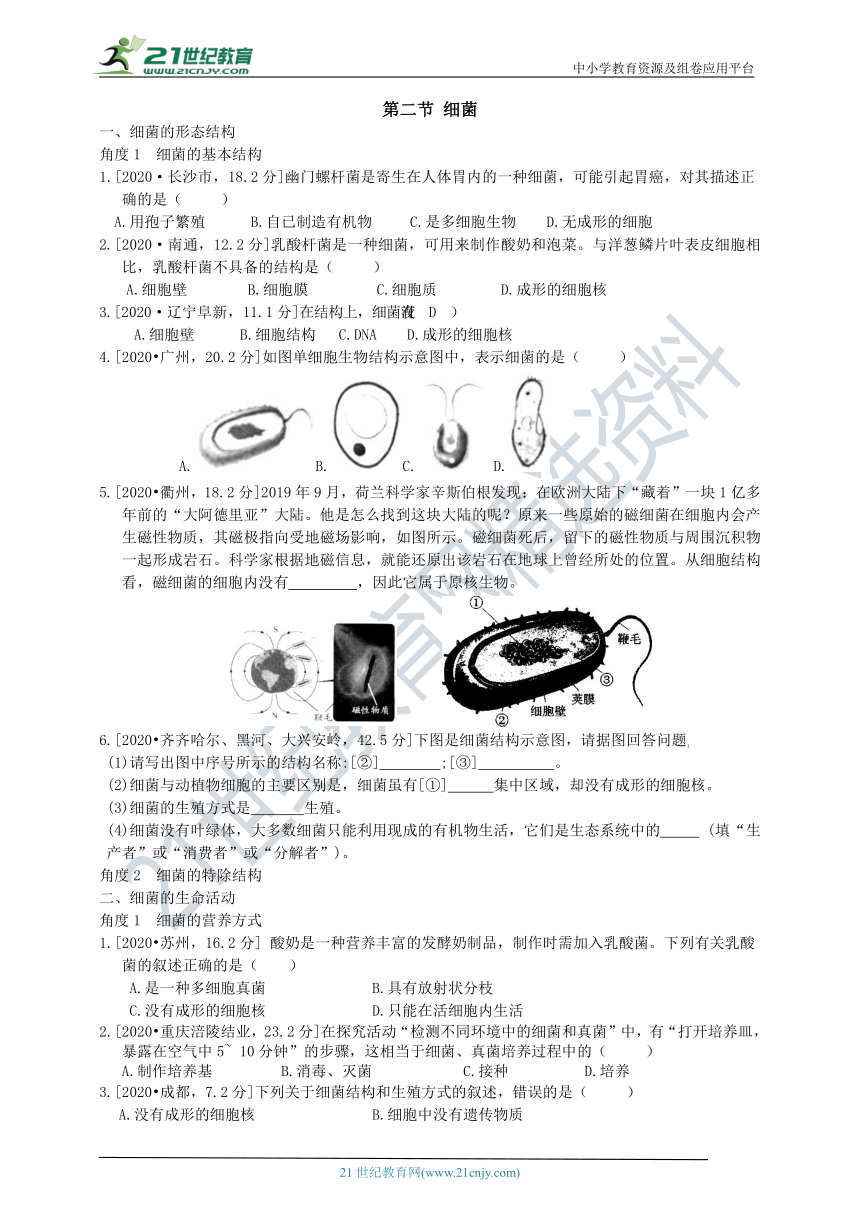 济南版中考真题汇编2.3.2细菌（含答案）