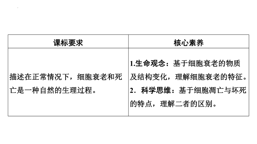 生物人教版2019必修1 6.3 细胞的衰老和死亡课件（共27张ppt）