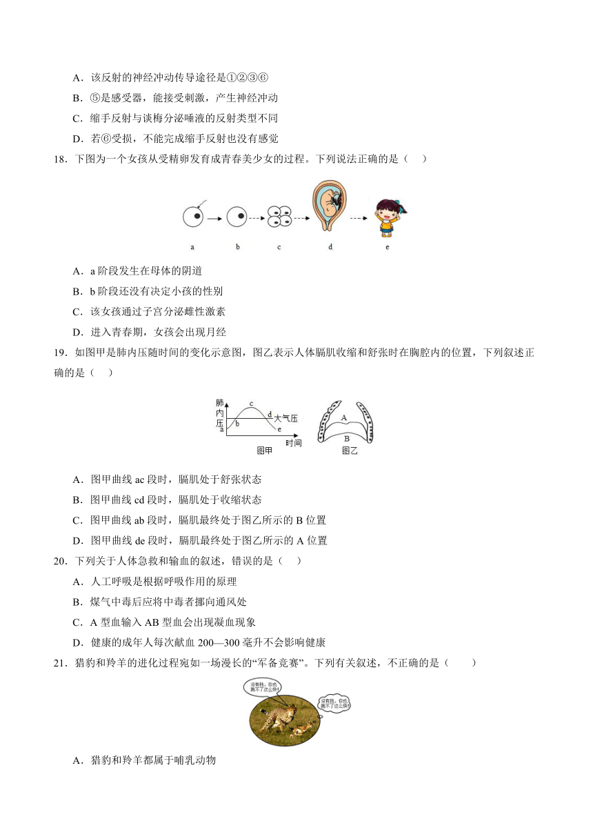 2024年陕西省中考第二次模拟考试生物（卷）（无答案）