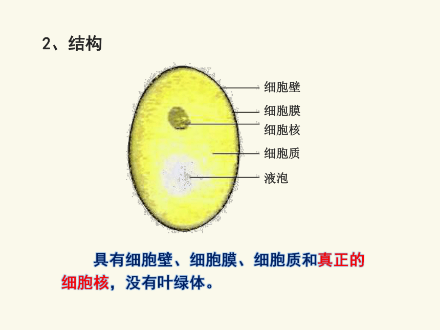 18.1 微生物在生物圈中的作用课件(共32张PPT)