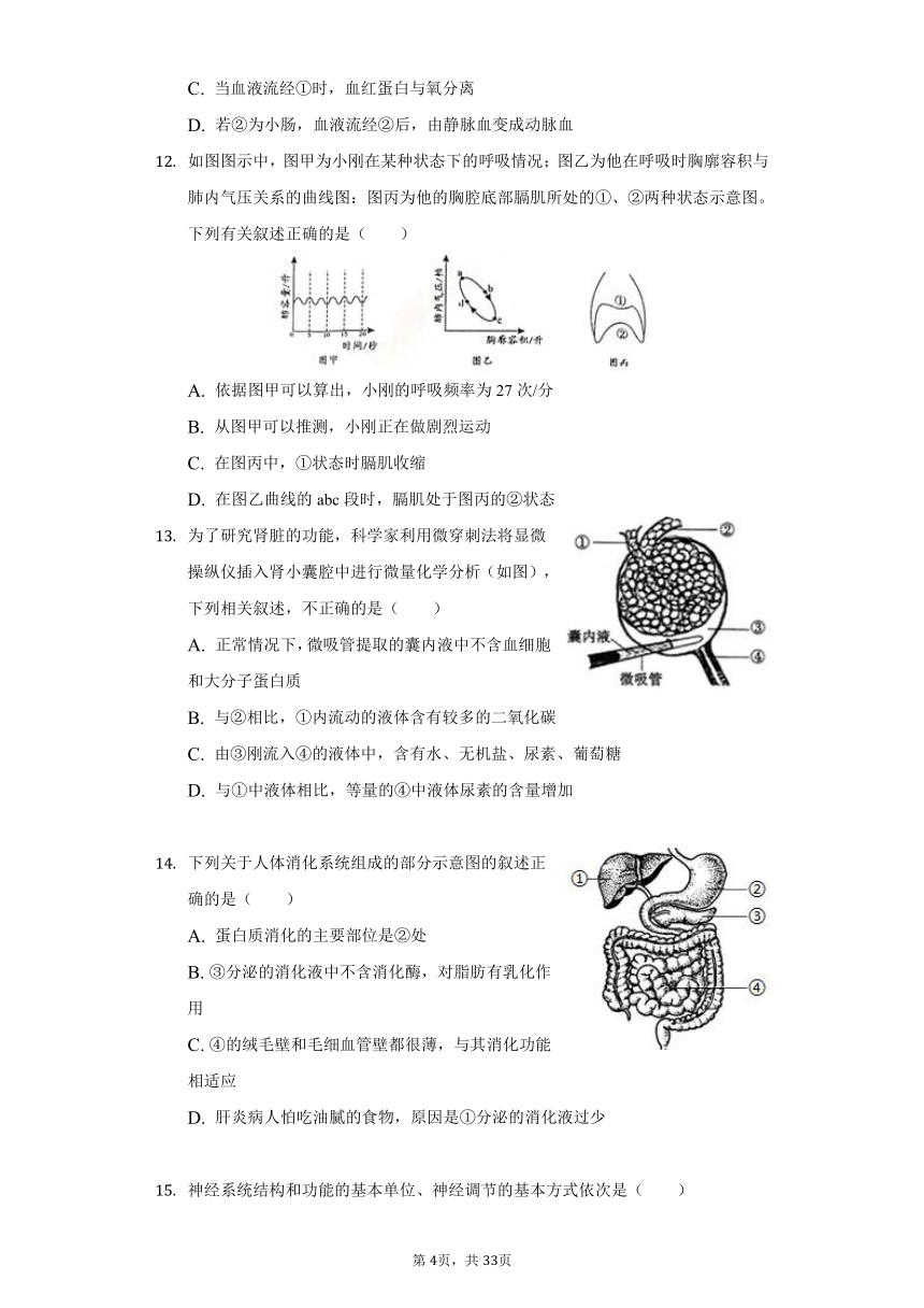 2020-2021学年山东省滨州市博兴县八年级（下）期中生物试卷（word版含解析）