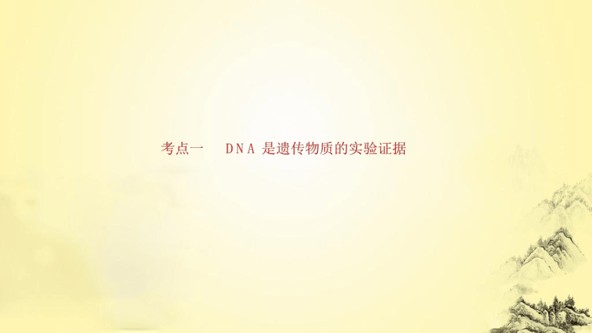 新人教生物二轮复习课件7 遗传的分子基础(课件共72张PPT)