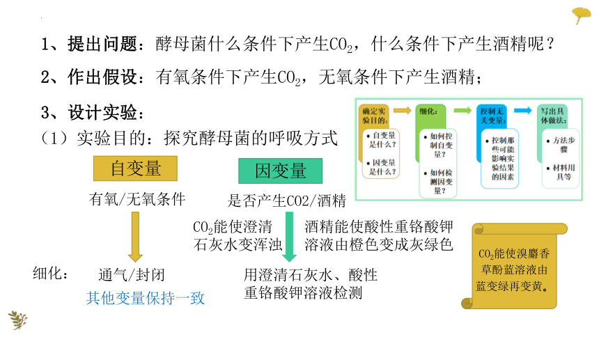 2022-2023学年高一上学期生物人教版（2019）必修1-5.3.1细胞呼吸的原理与应用课件（26张ppt）