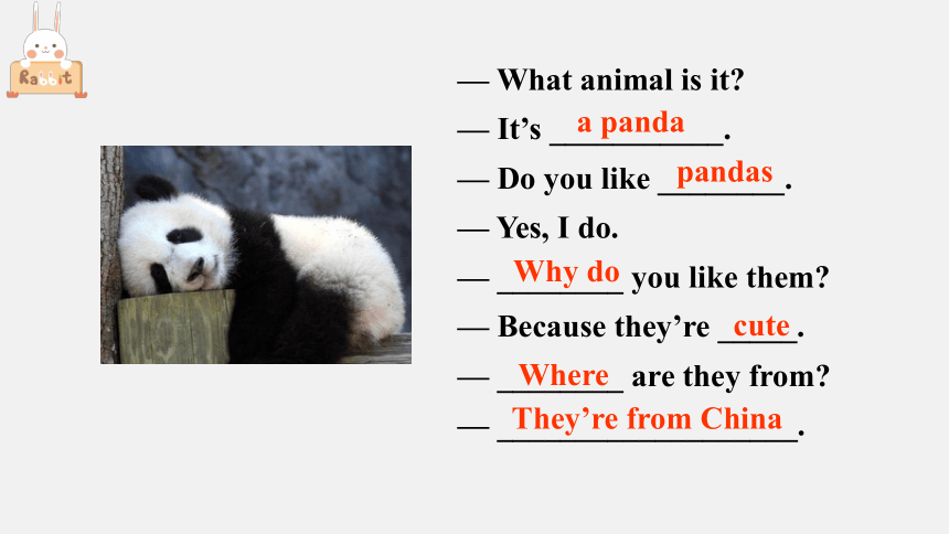Unit 5 Why do you like pandas Section A Grammar focus-3c 课件(共24张PPT)人教版七年级英语下册