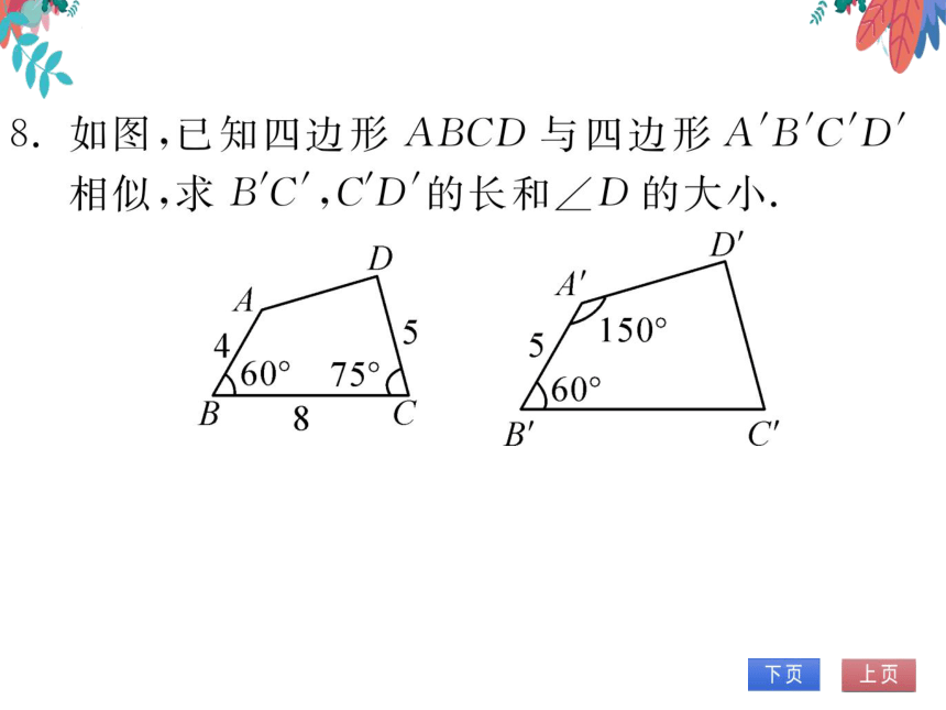 【沪科版】数学九年级上册 22.1 比例线段 第1课时 相似多边形 习题课件
