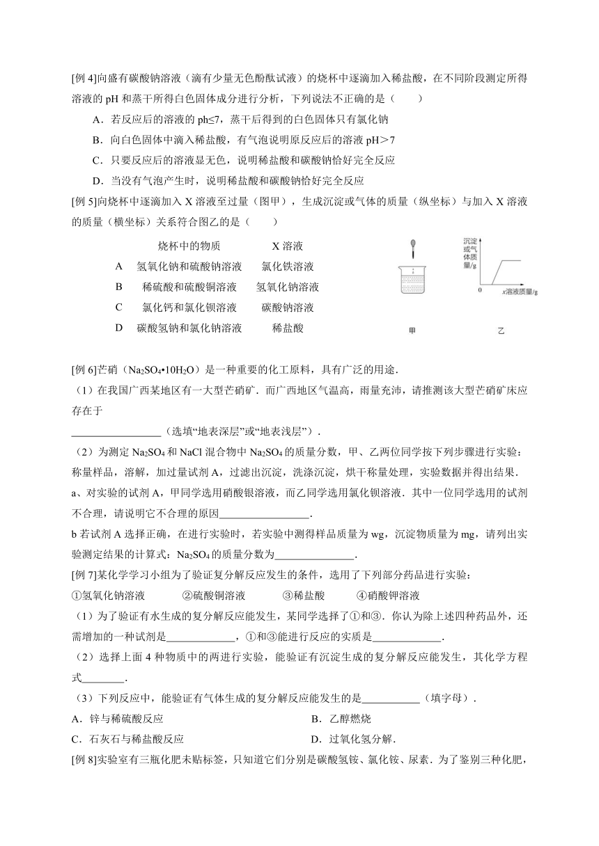 浙教版九年级暑假专题性预习讲义 第五讲 重要的盐（二） 学案（含答案）