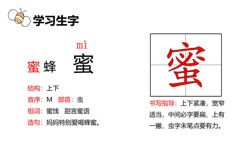 14 蜜蜂 课件(共28张PPT)