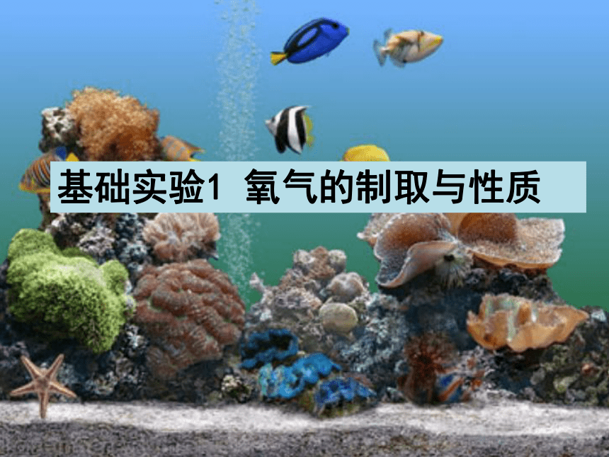 2022-2023学年沪教版（全国）化学九年级上册 2.4 基础实验1 氧气的制取与性质 课件(共15张PPT)