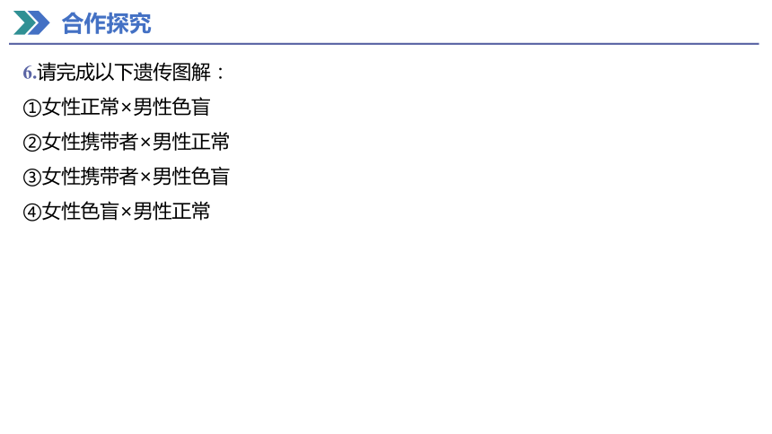 2.3 伴性遗传 课件(共40张PPT) 2023-2024学年高一生物人教版（2019）必修第二册