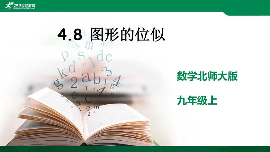 4.8.1  图形的位似 课件（共29张PPT）