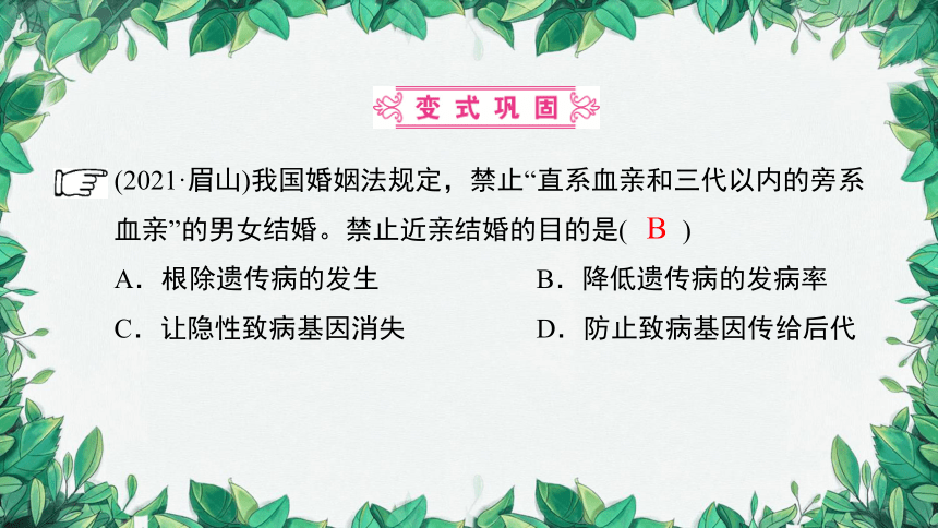 2023年中考生物复习 课题五 遗传变异与遗传病课件(共31张PPT)