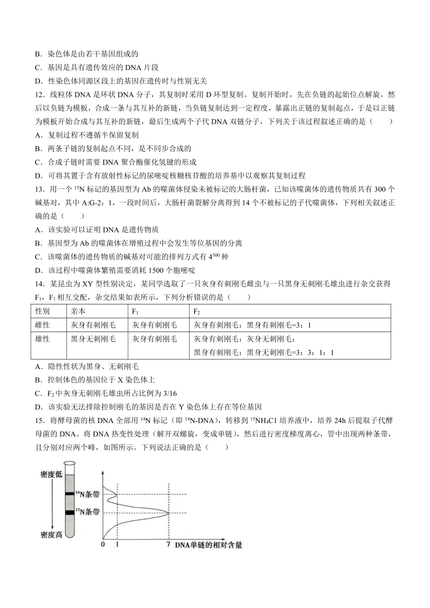 山东省菏泽市2023-2024学年高一下学期期中考试生物学试题（A卷）（含答案）