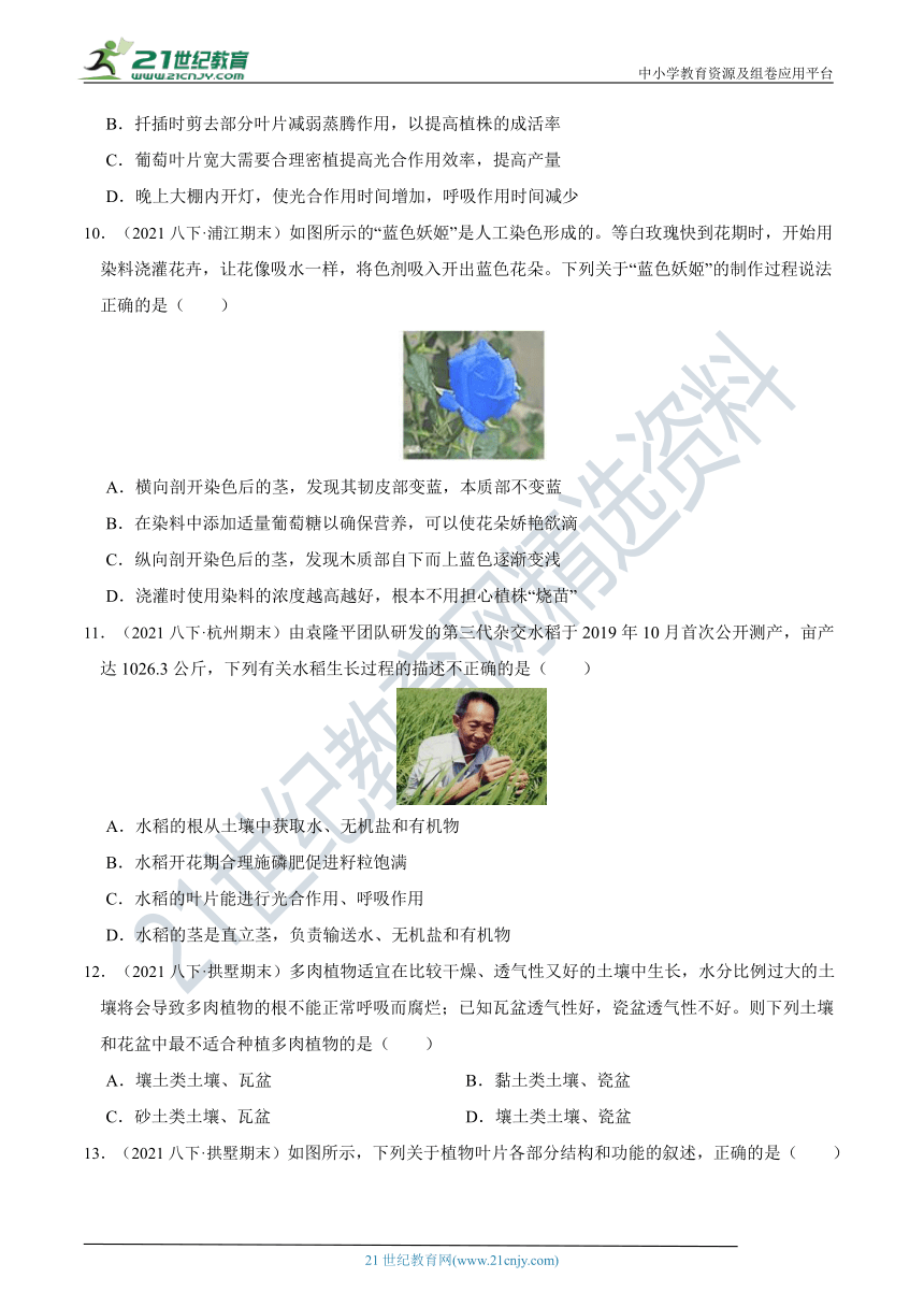 2022年8年级下册 期末尖子生必刷题 04 第4章 土壤与植物综合测试（含答案）