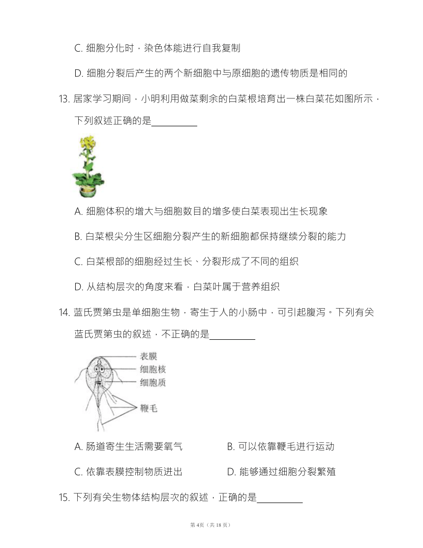 人教版七年级生物上册第二单元第二章 细胞怎样构成生物体同步检测卷（word版含部分解析）